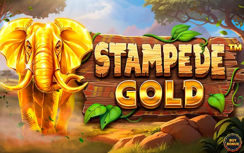 Feel the rush playing the powerful Stampede Gold™ slot available at Parimatch.